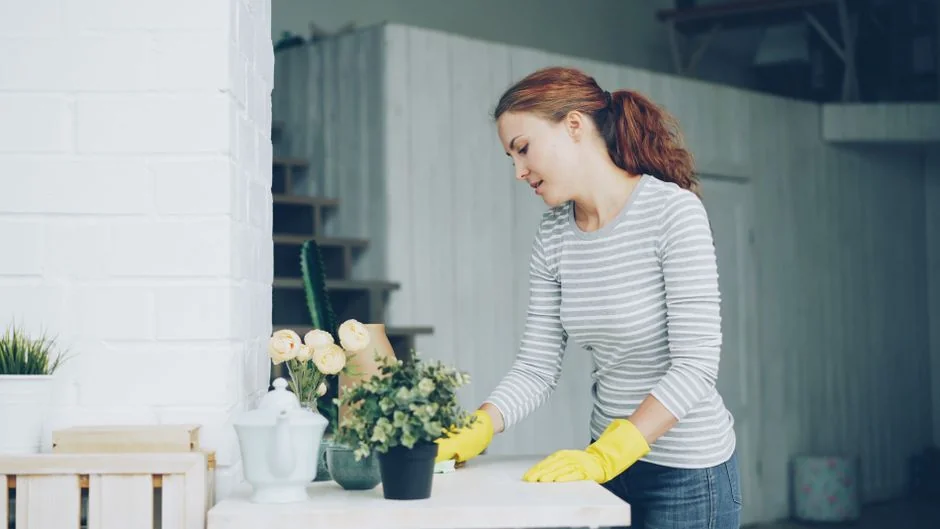 Cleaner using a vacuum in a stylish indoor setting, showcasing cleaning equipment and techniques.